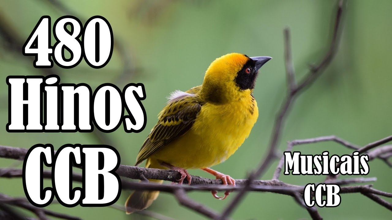 480 Hinos Cantados CCB - 100,375,16,17,18,19,20,21,211,205,210,300,411... - Musicais CCB