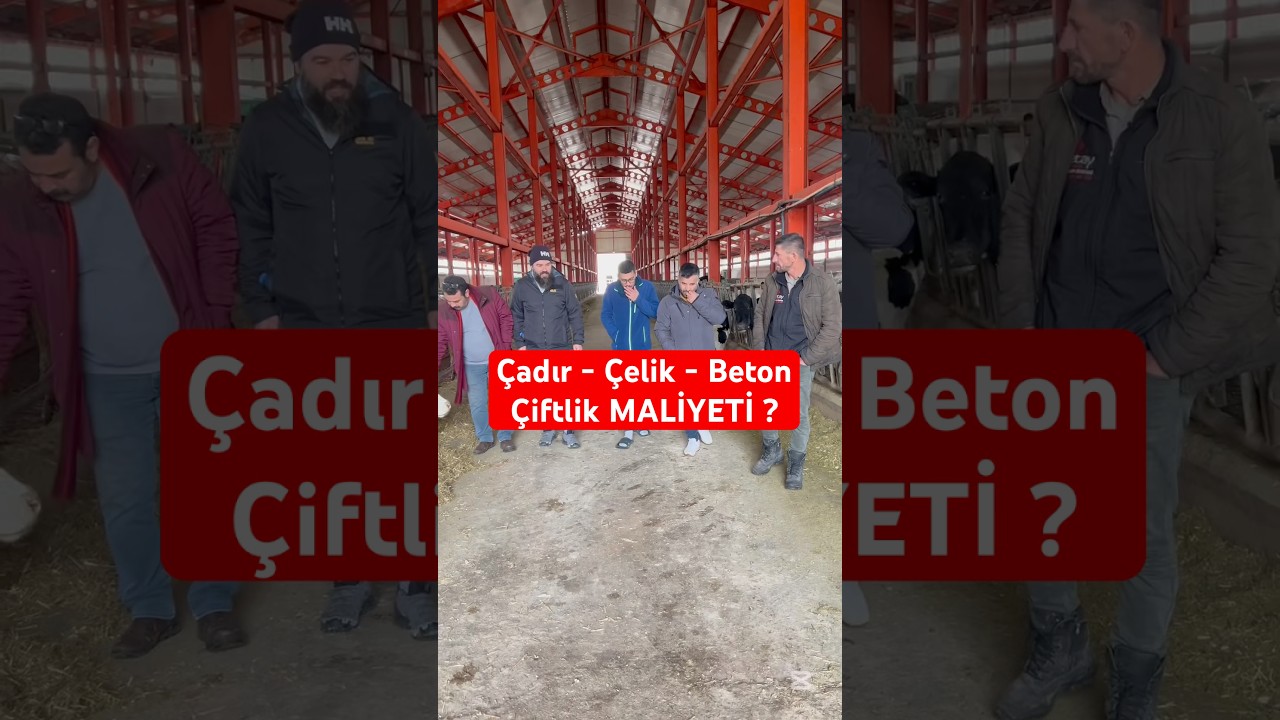 &Ccedil;iftlik inşaat maliyeti ne kadar. #inşaat #&ccedil;iftlik #hayvancılık