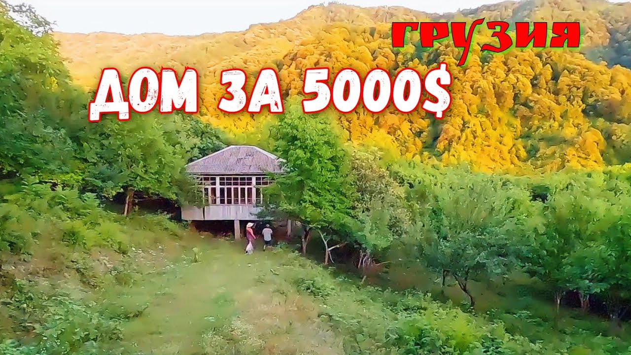 Грузия - Дом с Фруктовым Садом за 5000$. Приколы с Гостями и Гостеприиством