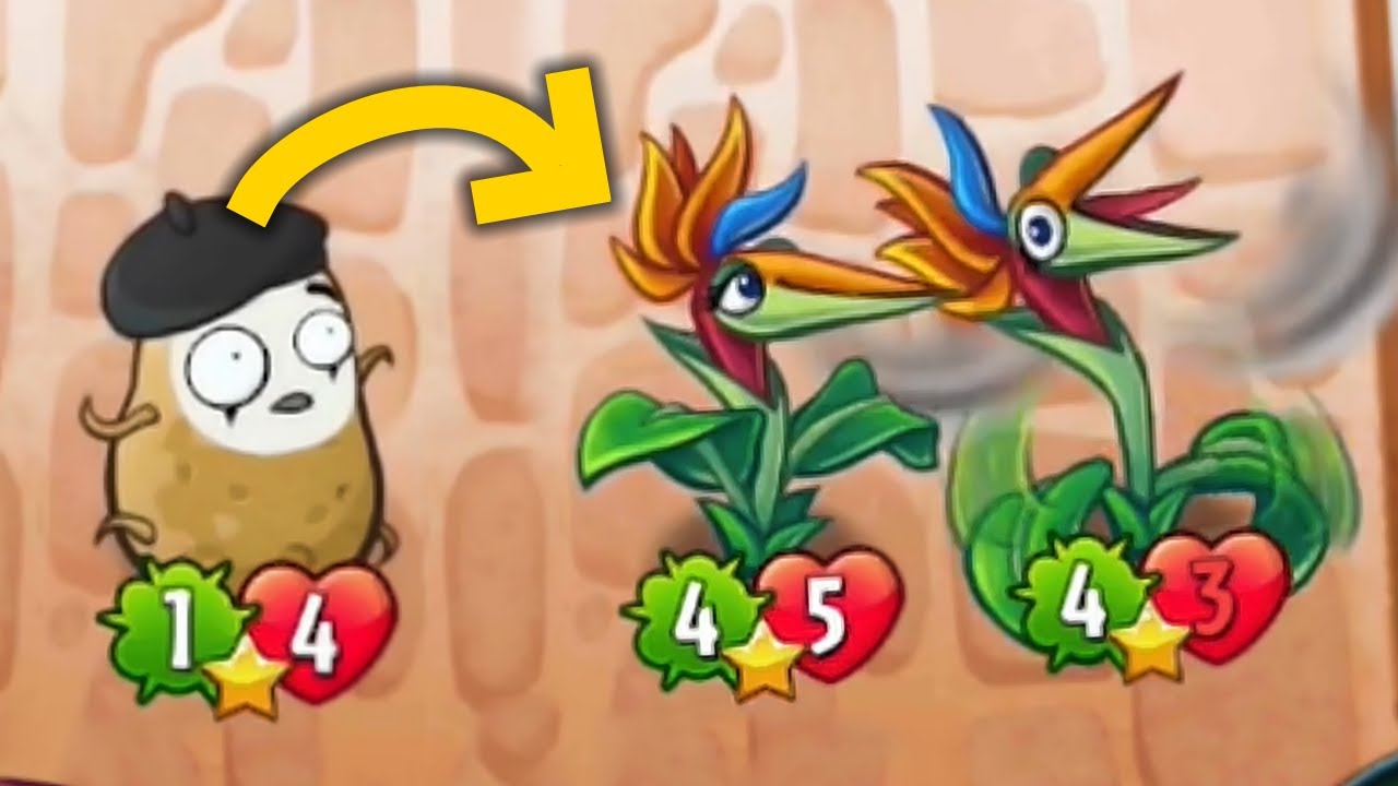 Imitating Bird Of Paradise For Trolling Purposes