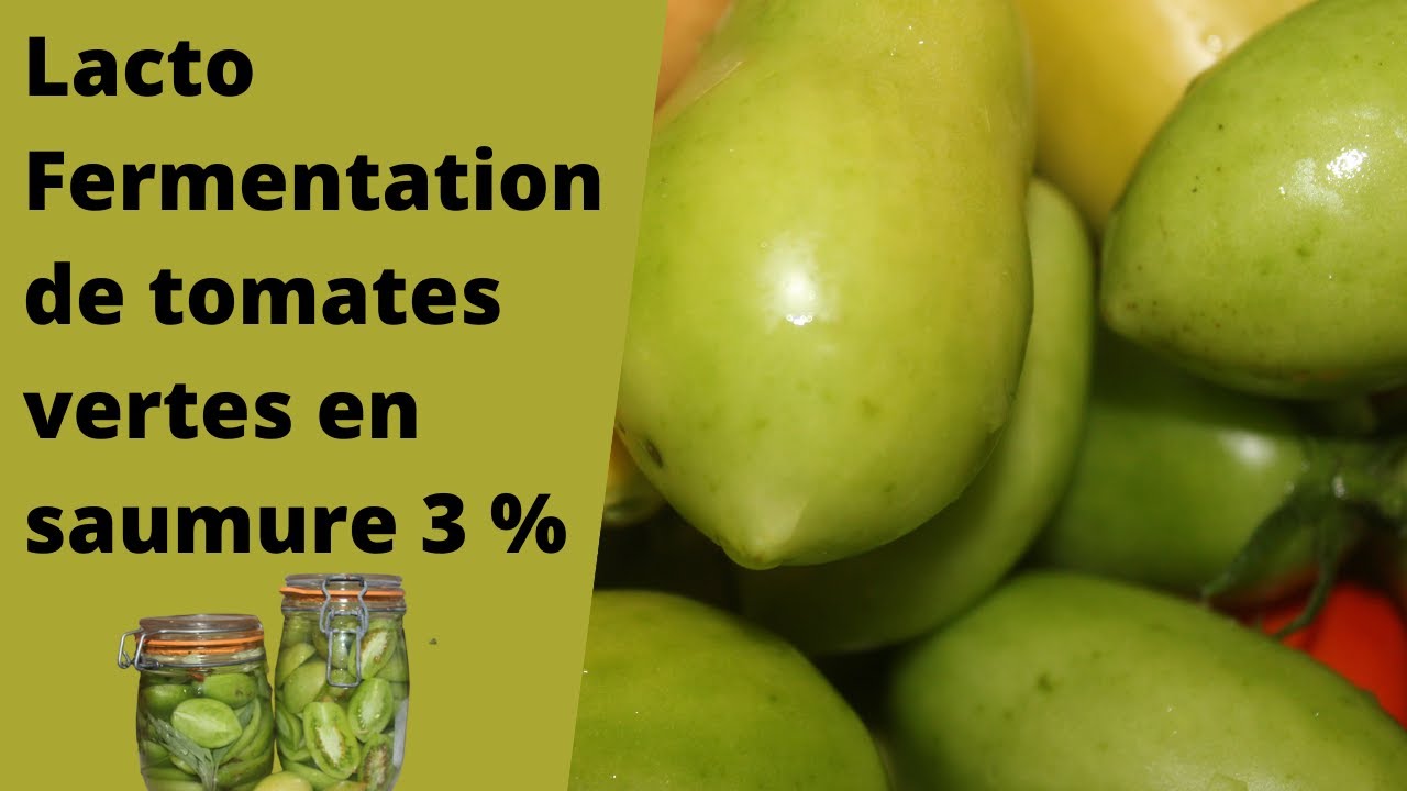 Lacto-fermentation de tomates vertes