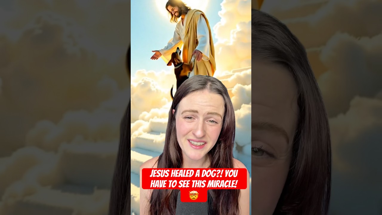 Jesus Healed a Dog?! You Have to See This Miracle!🤯 #jesus #miracle #faith #dog