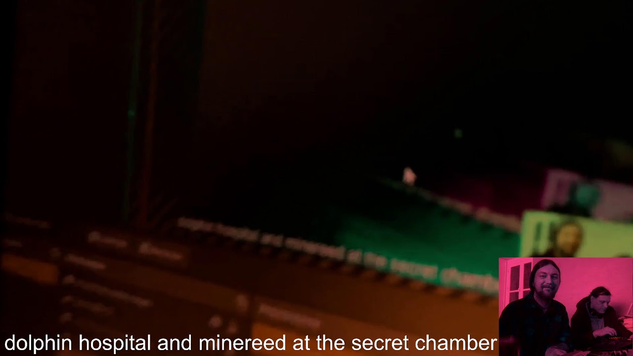 dolphin hospital and minereed at the secret chamber