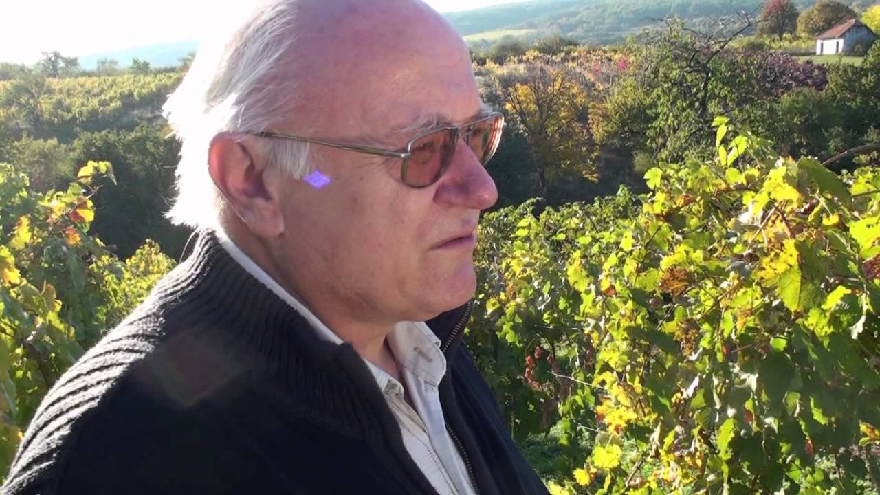 Terroir TEKOV - MURÁNI VÍNO ČAJKOV