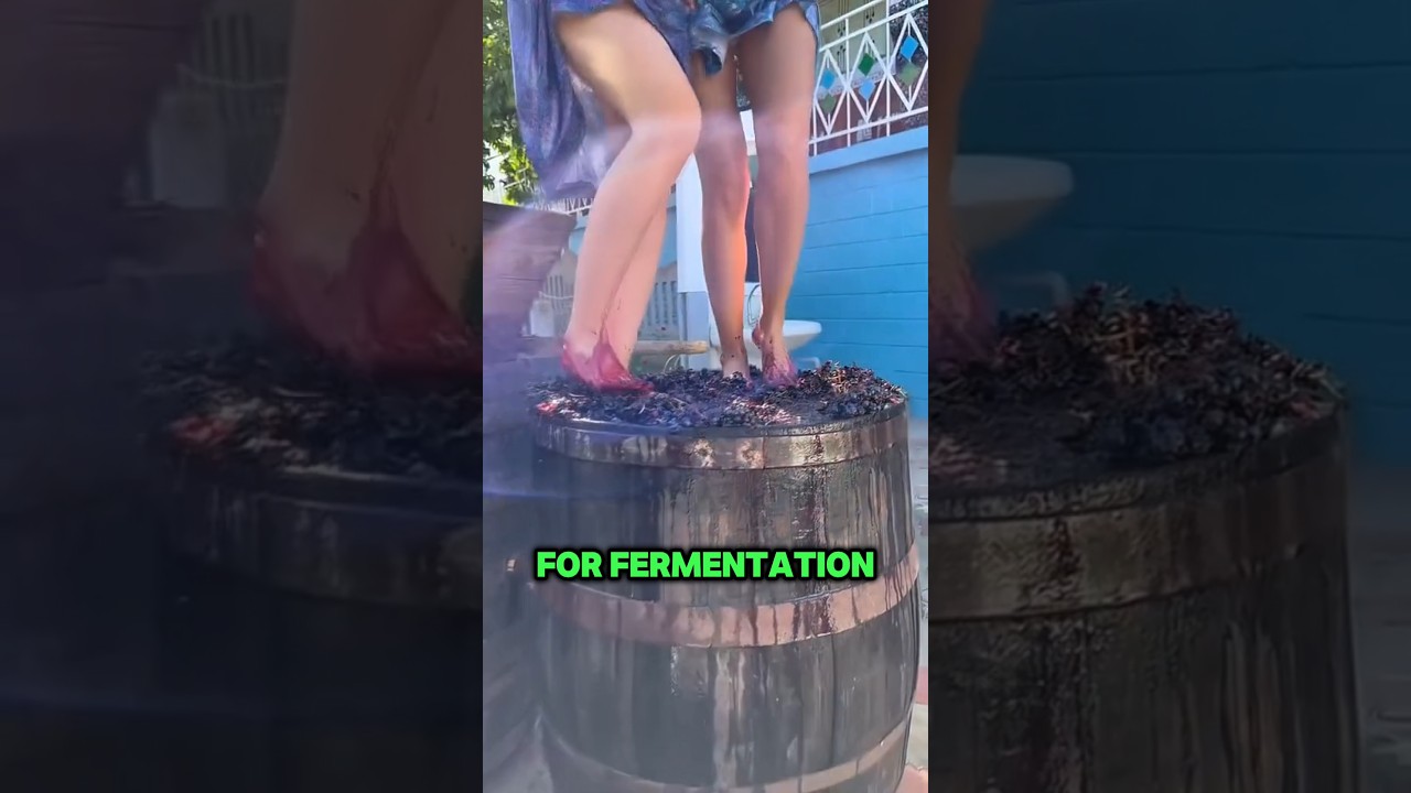 Процесс изготовления грузинского вина