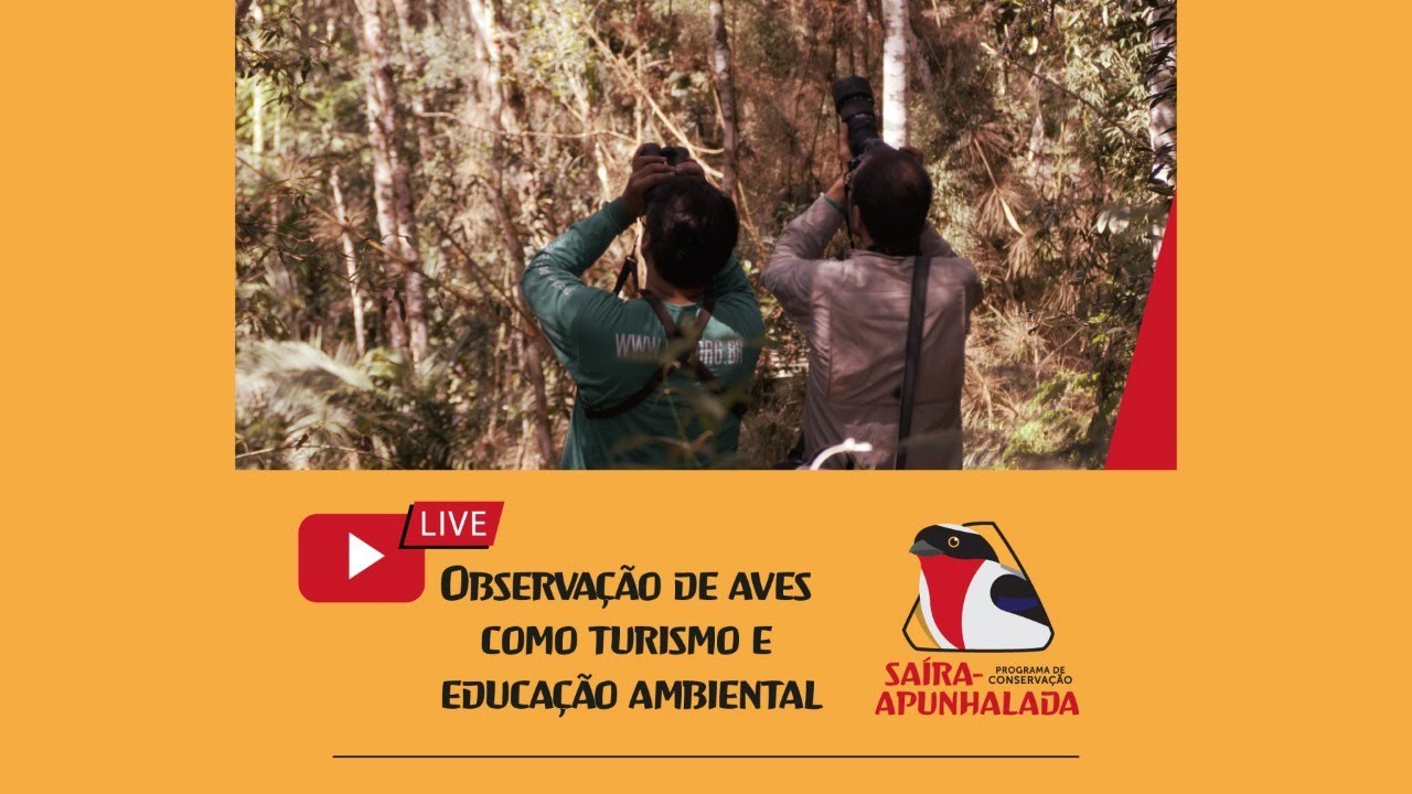 Observação de aves como turismo e educação ambiental