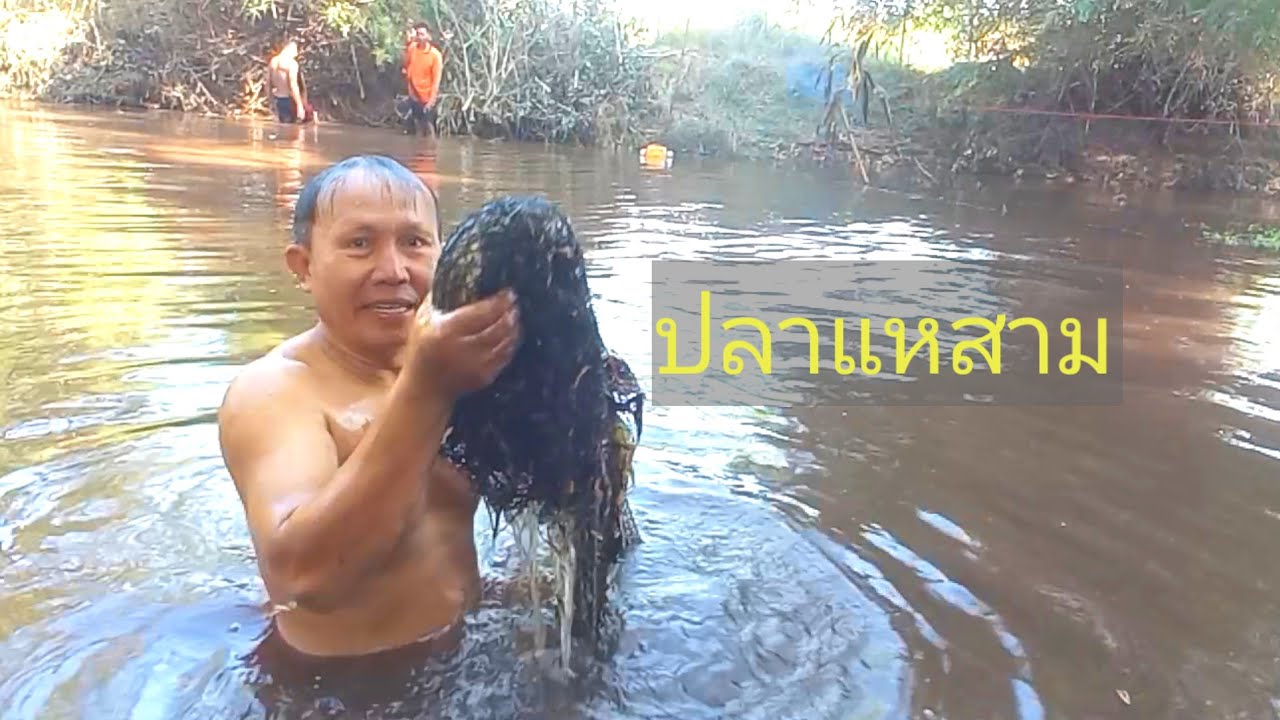 ep10 ตึกแห กักดาง จอบบ้อน วังยาวน้ำเย็นมากปลามีแต่บ้อนใหญ่