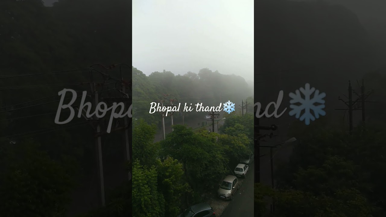 BHOPAL WEATHER | WEATHER IN BHOPAL | BHOPAL WINTER | BHOPAL SHORT VIDEO | WINTER SHORT VIDEO