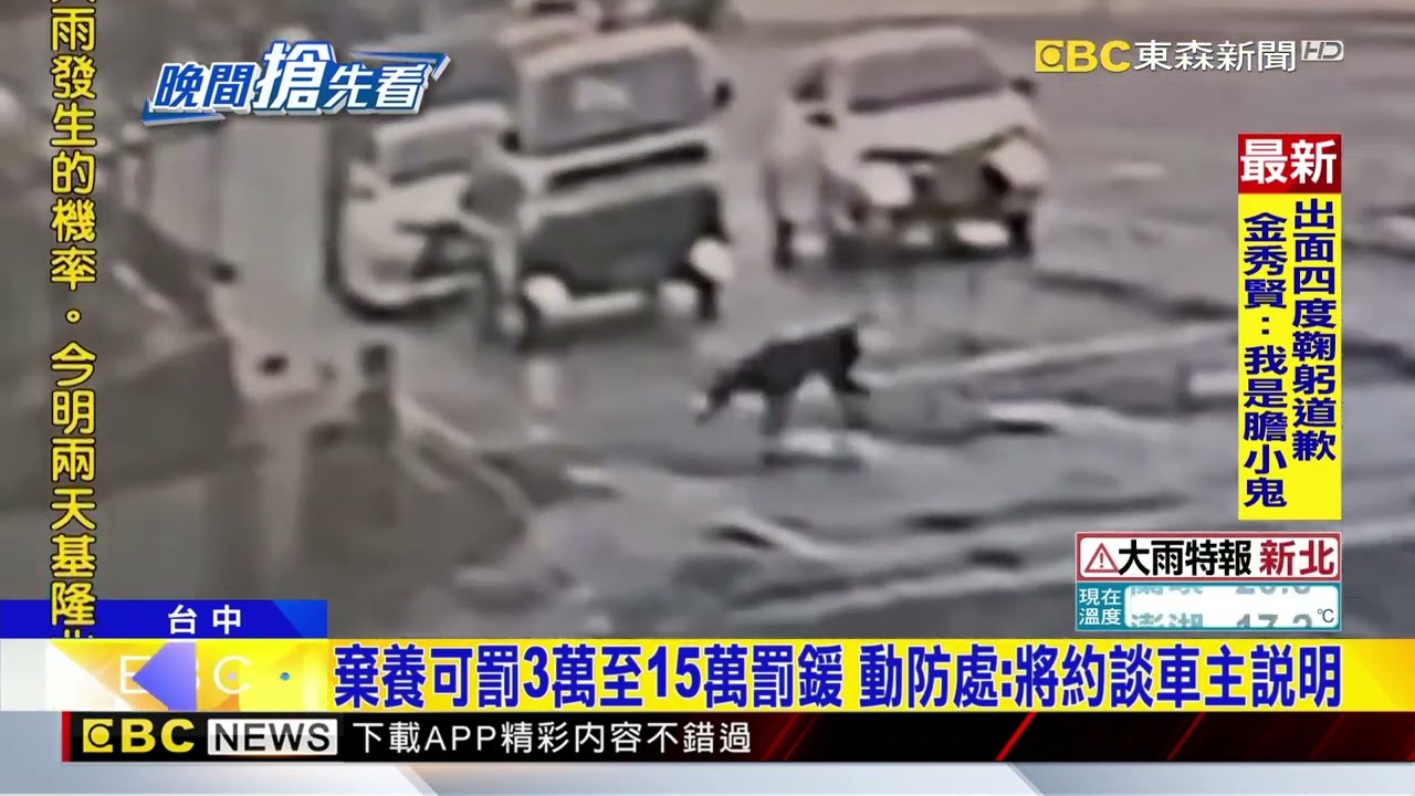 馬路中惡意棄養黑狗 小黑狂追車網看心碎