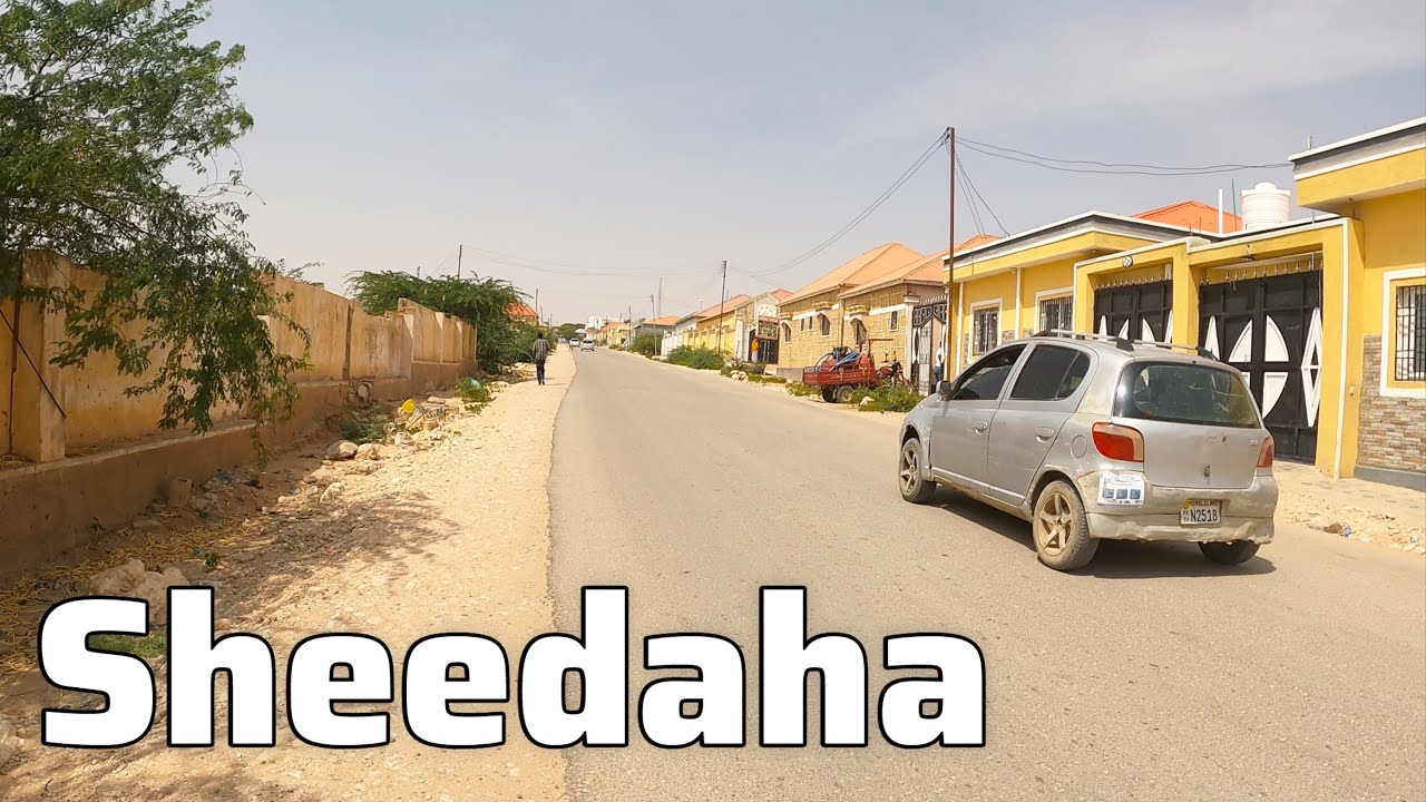 Wadada sheedaha Hargeisa