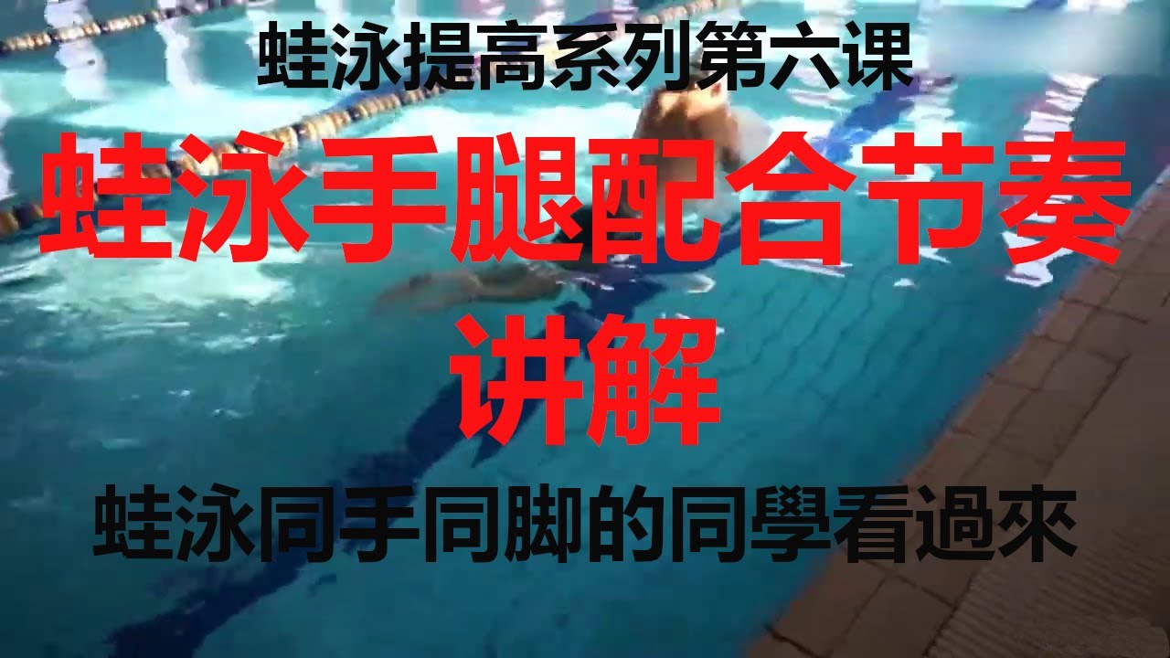 蛙泳提高系列第六课！手腿配合节奏讲解 Breaststroke hands and legs with rhythm explanation