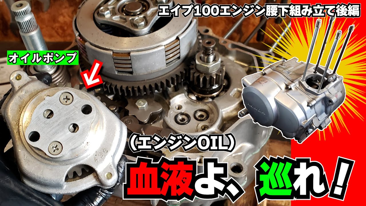 エンジンよ！血液（オイル）は巡っているか!?  【エンジン腰下】組み立て後編  ≪エイプ100エンジン ゼロから組み立てられるかな？挑戦③≫