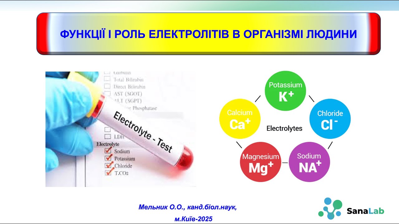 Функції і роль електролітів в організмі людини