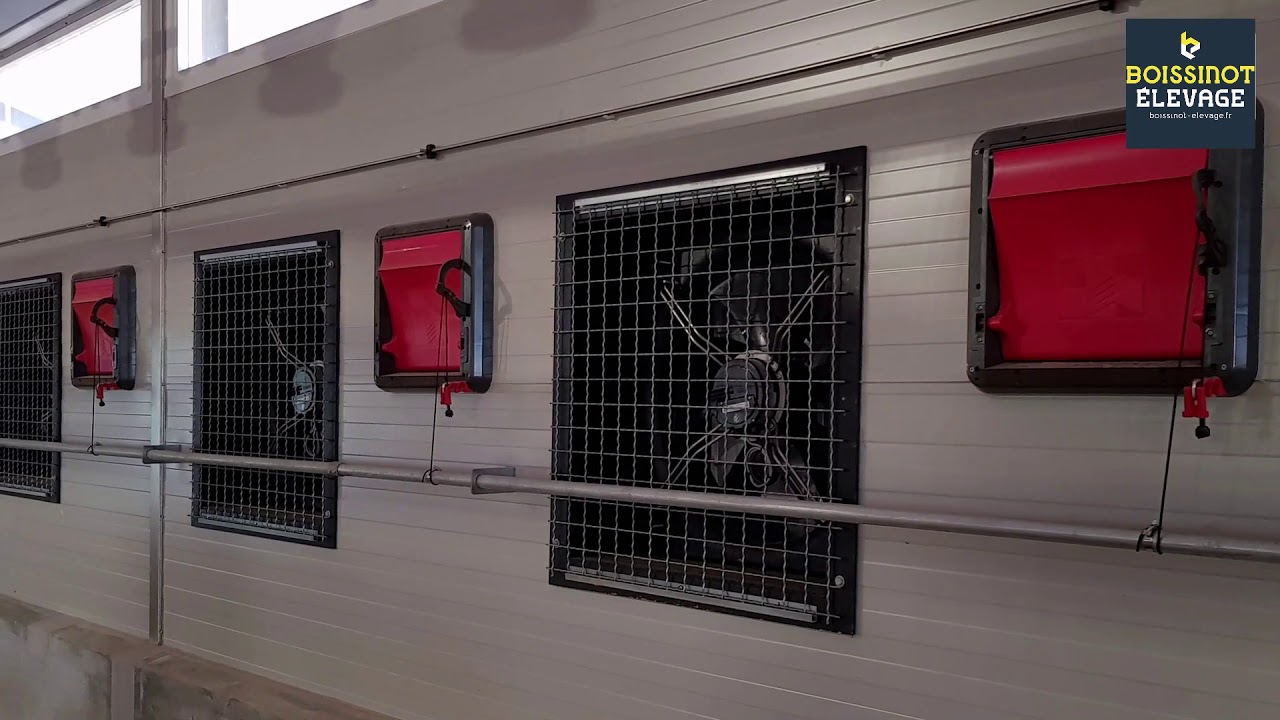 Aménagement d'un bâtiment d'élevage pour volaille de chair