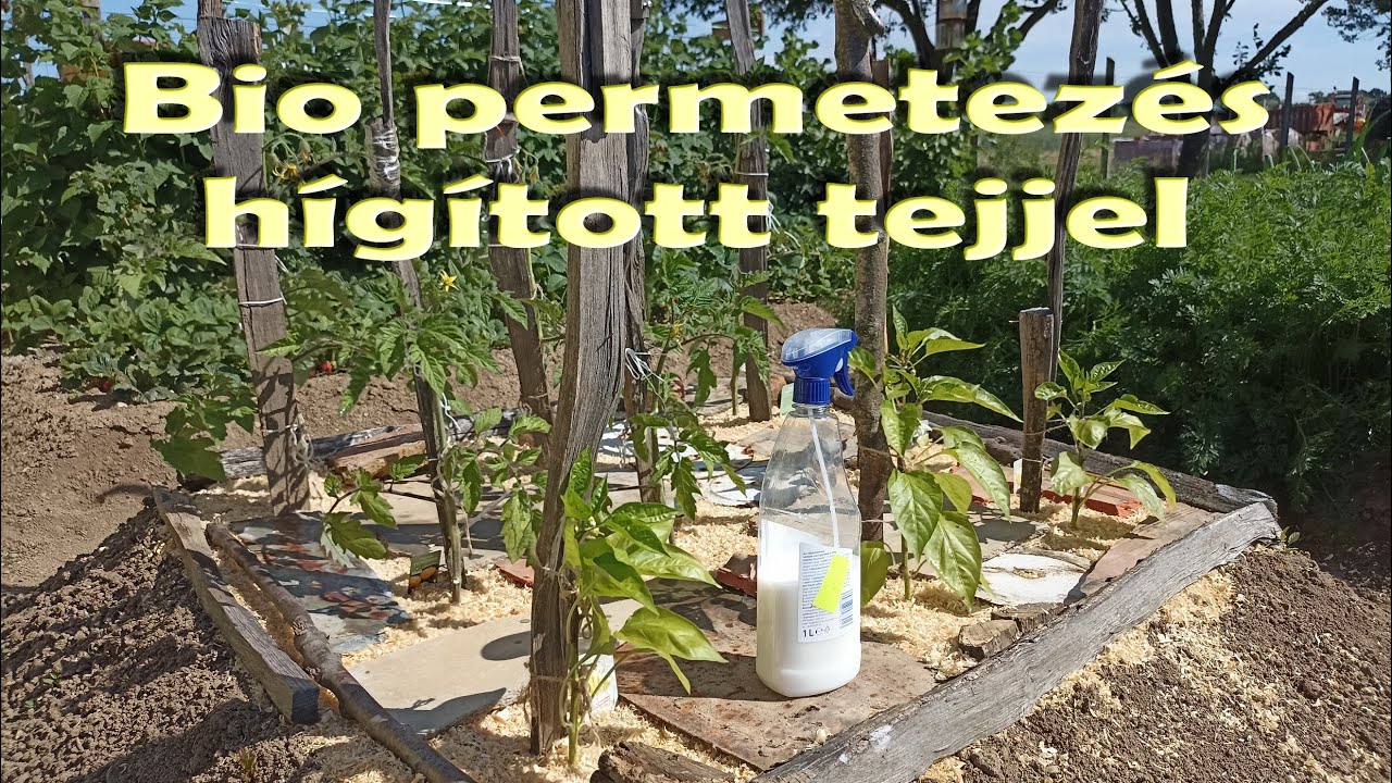 Bio permetez&eacute;s h&iacute;g&iacute;tott tejjel - 2024 05 29