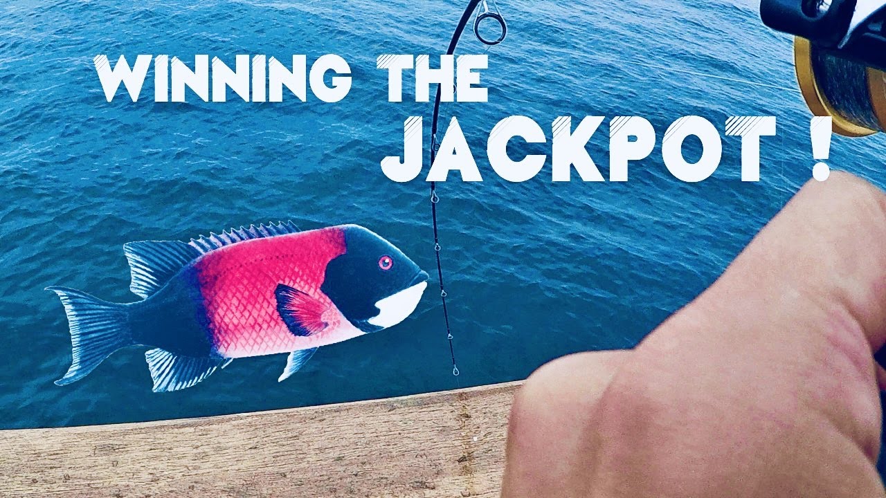 CALIFORNIA SHEEPHEAD FOR THE WIN | Half Day Fishing Trip in San Diego, CA - Ep.3