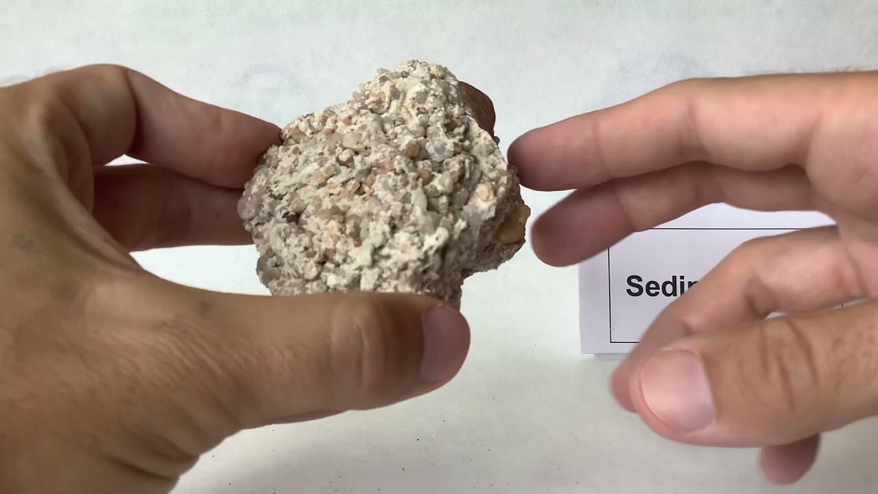 ByG3 Rocas - Sedimentarias (Detríticas y no detríticas)