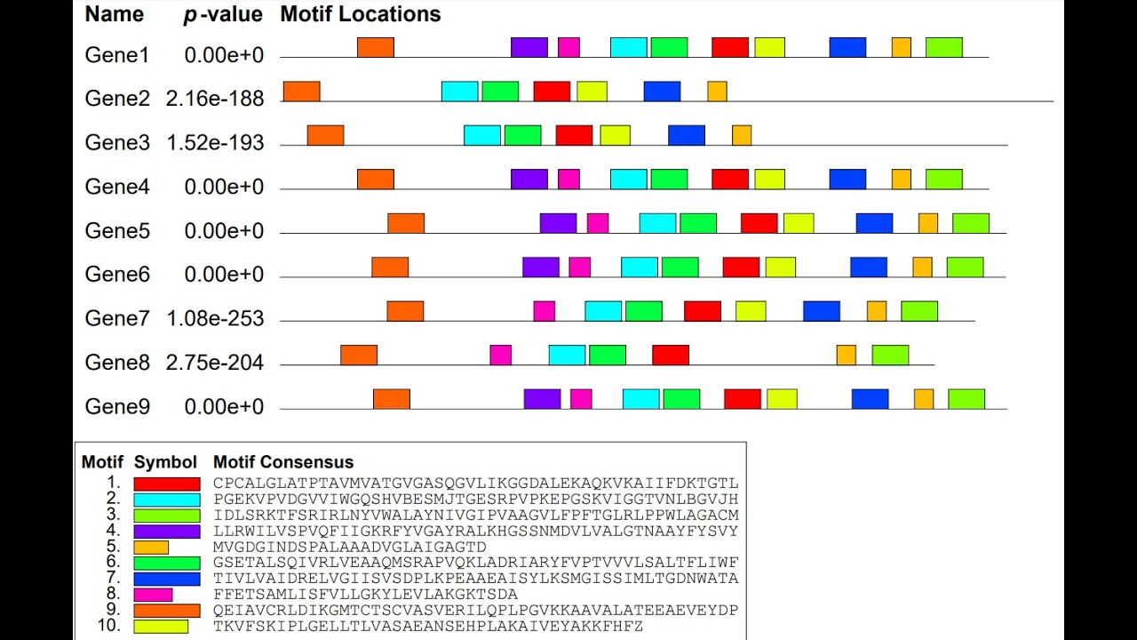 Motif-based sequence analysis tools=MEME Suite