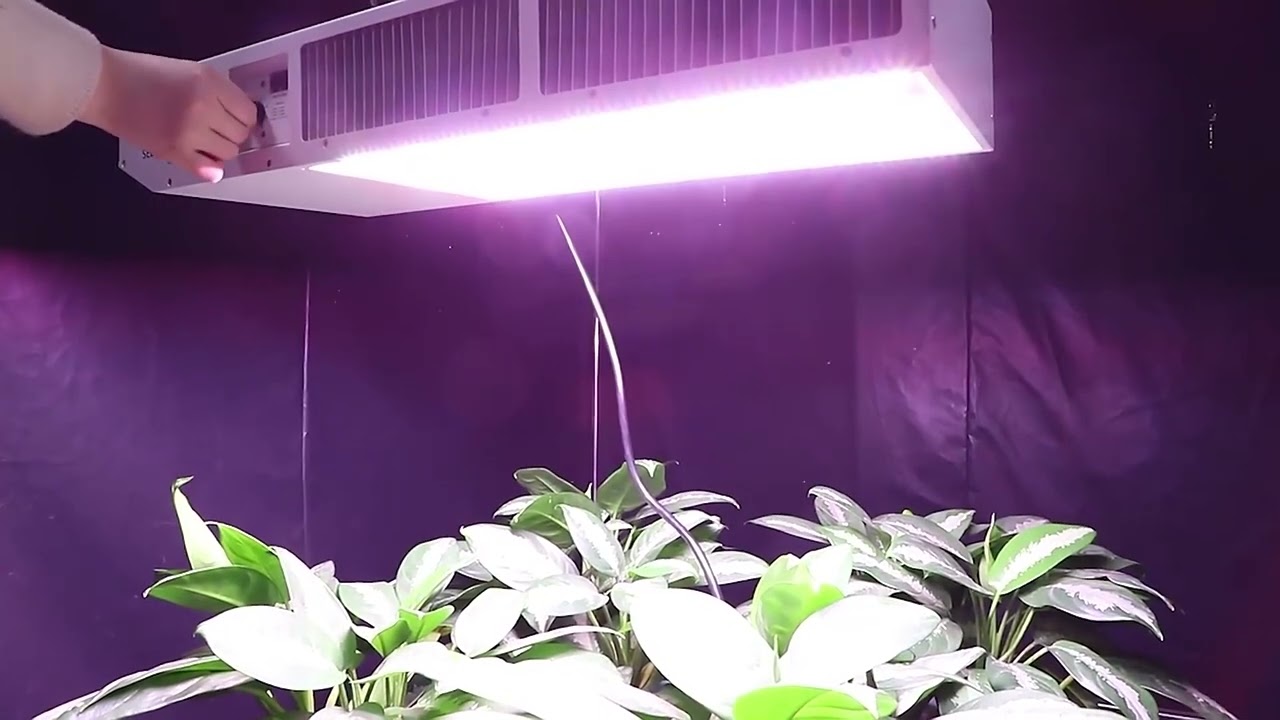 Nnaolux LED TOP760: Perfect replacement of  1000W HID Without Rewiring