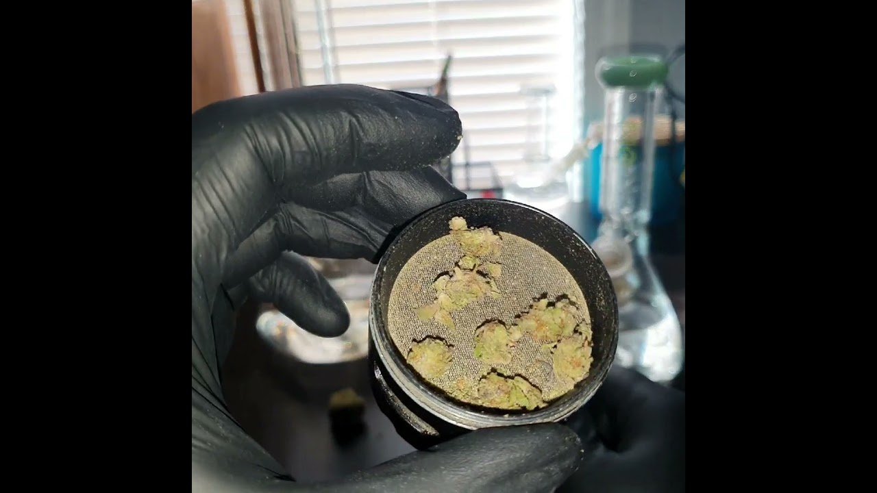 Sky Blue Durban Cannabis Review