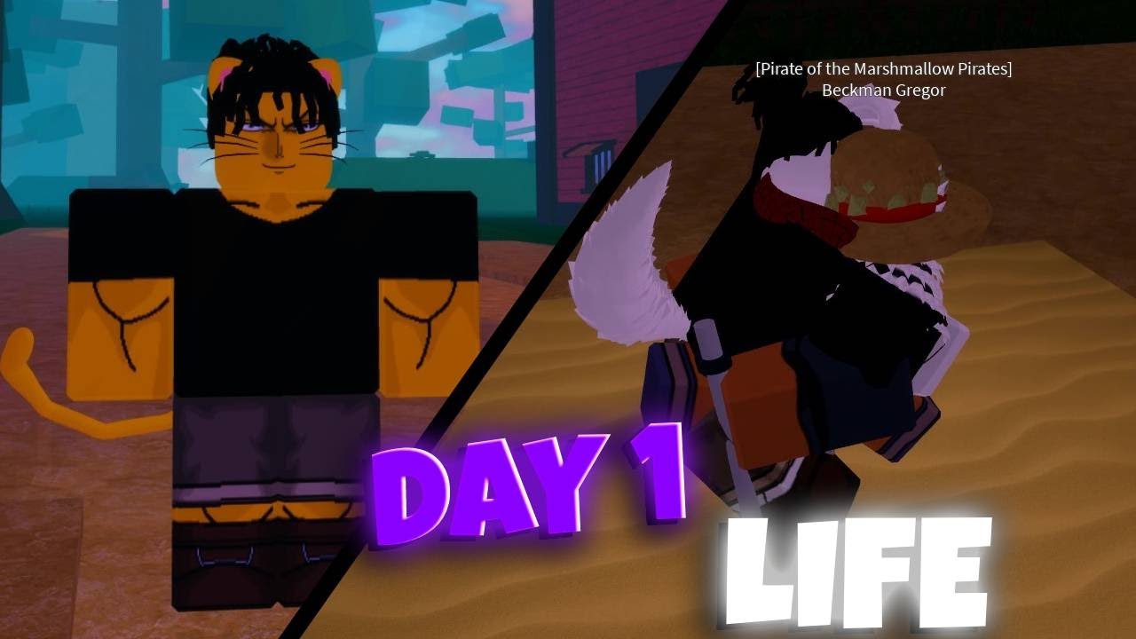 One Piece New Dreams First Day Experience | Roblox