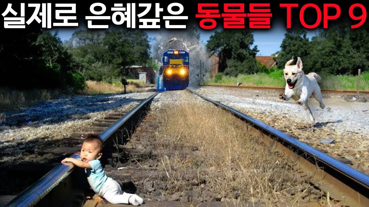 나를 사랑해줘서 고마워