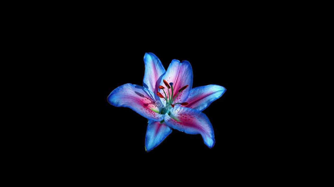 Random Sped Up & Slowed edit audios bc im addicted to tiktok pt + timestamps