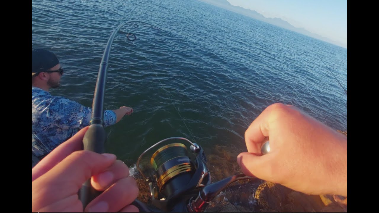 22 Minutes of Pure Chaos in Mosselbay