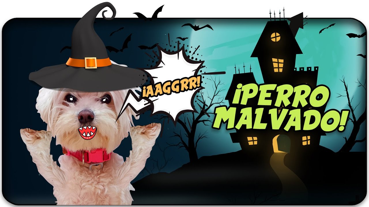 ¡Mi PERRO es MALVADO!😈 El HALLOWEEN de los PERROS!🎃 Anima Dogs