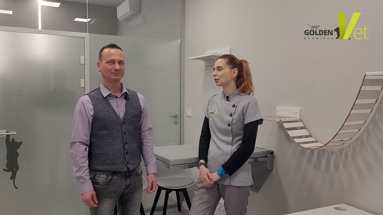Czyszczenie zębów u psa i kota - porady weterynarza
