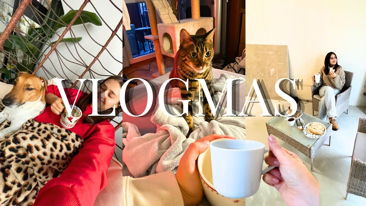 biorę urlop | najgorsza vlogerka, pierwsza herbata w nowym mieszkaniu | zimowe swetry | Vlogmas