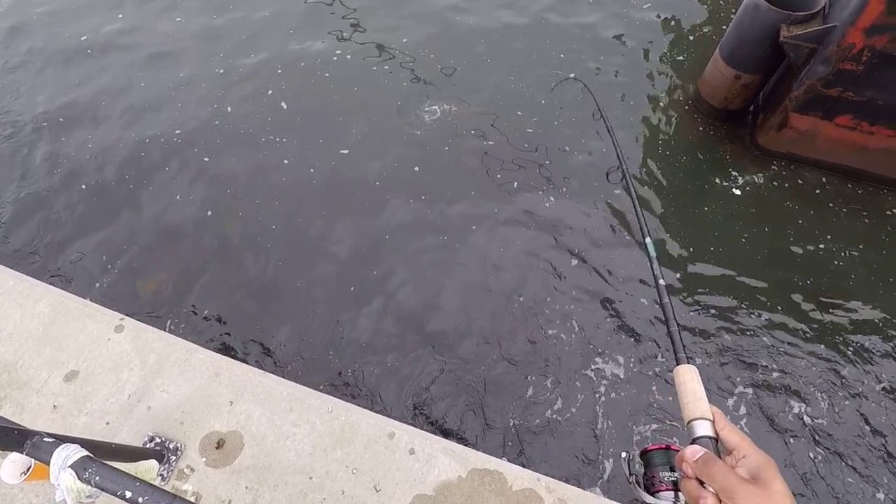 St. Croix Premier spinning rod 2 pieces