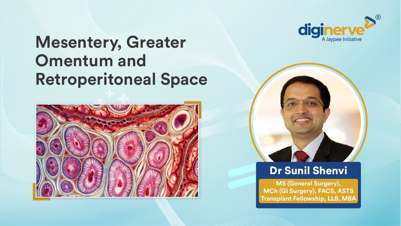Understanding the Mesentery, Greater Omentum & Retroperitoneal Space | Dr Sunil Shenvi