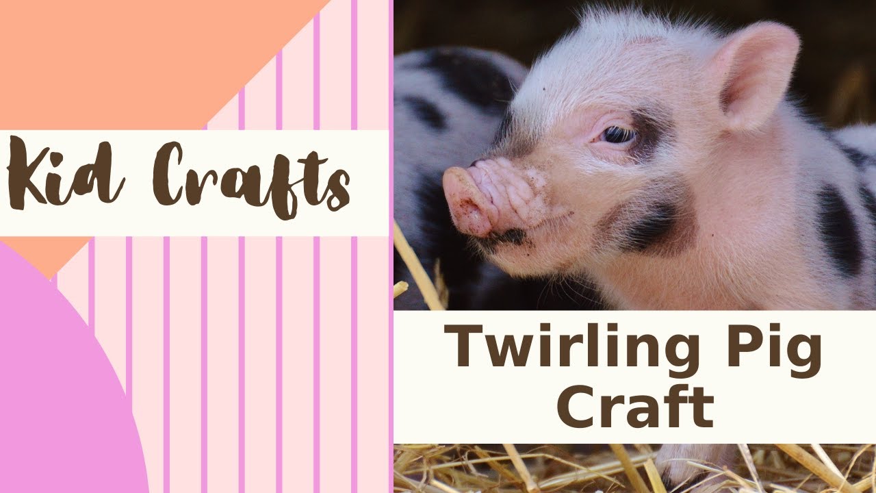 Kid Crafts - One Magical Day by Claire Freedman and Twirling Pig Craft