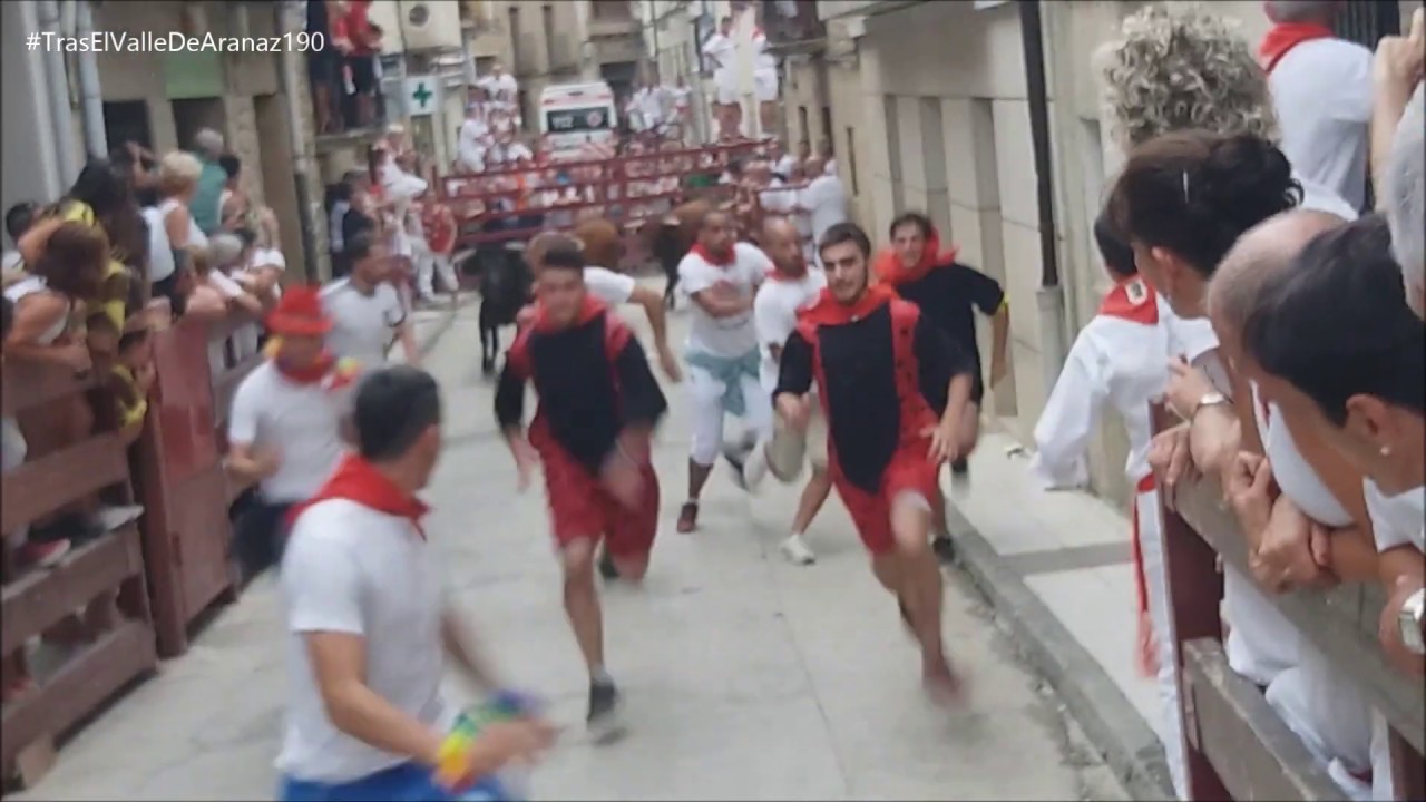 ENCIERROS CORTOS 2019 FIESTAS DE CARCASTILLO / ZARRAKAZTELU