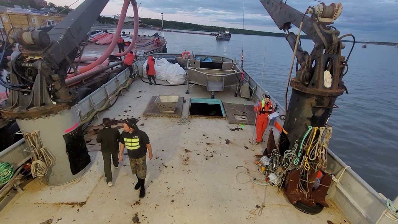Offloading fish at the cannery