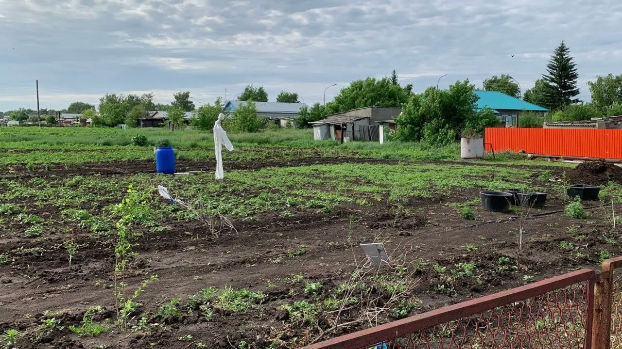 1134. Огород 23 сотки , работа с землей радует и улучшает здоровье!!!! 😀