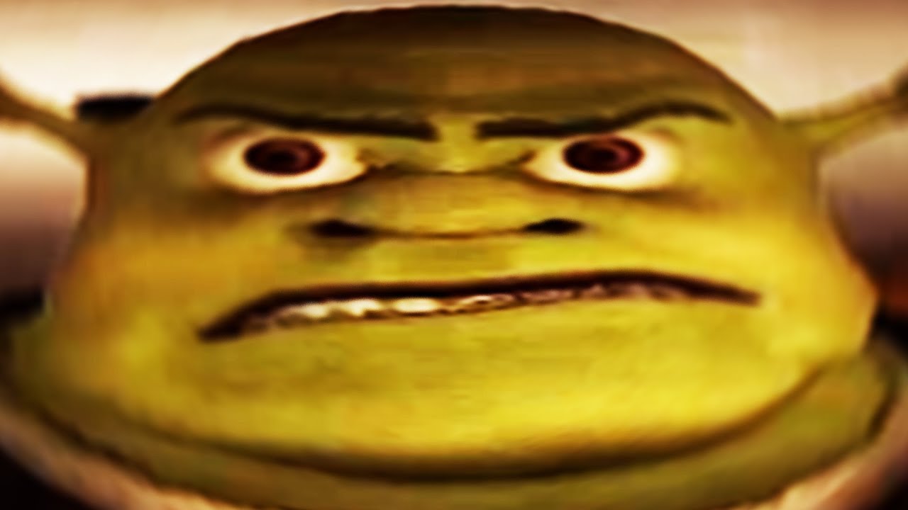 5 NOPTI LA SHREK 2