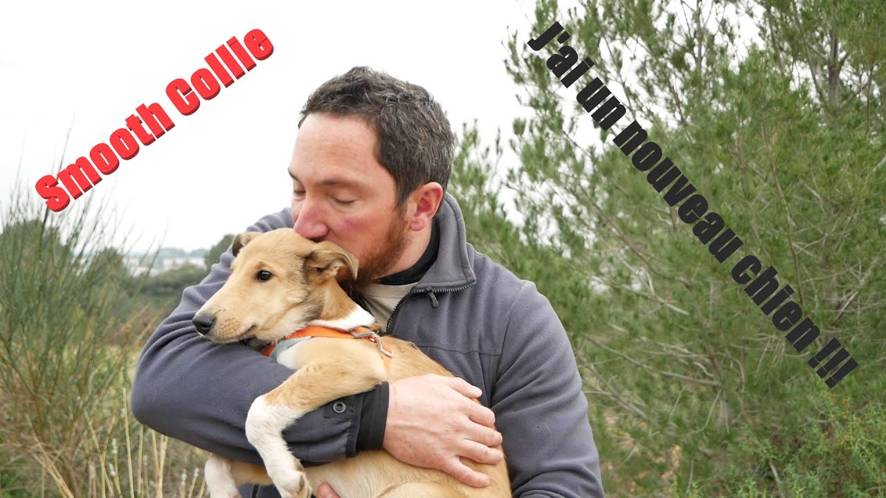 VLOG 1 : J'AI UN NOUVEAU CHIEN !!!! Bienvenue Lumi !! Ce qu'on peut faire avec un chiot de 2 mois.