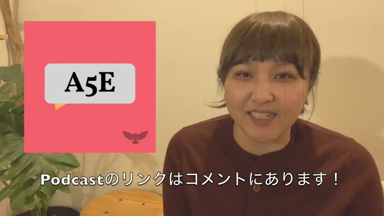 Realize とRecognize の違いちょいと解説  [A5E 203]