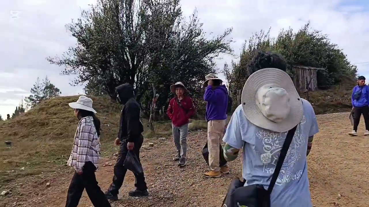 Viaje a Cajamarca 2025 - Curso de Arboricultura forestal UNSA