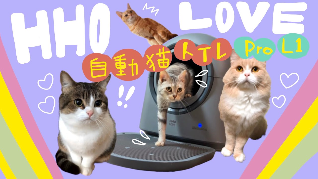 HHOLOVE💕自動猫トイレPro L1が我が家にやってきた🚽😼✨