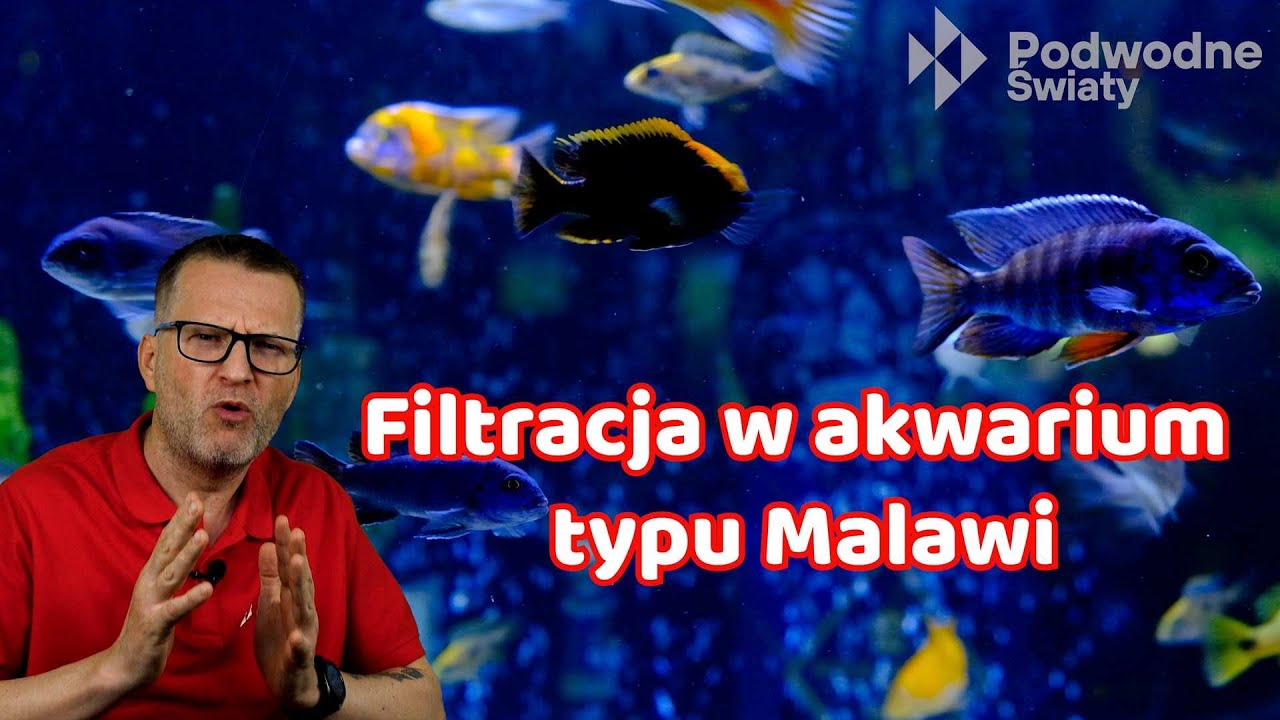 Filtracja w akwarium typu Malawi