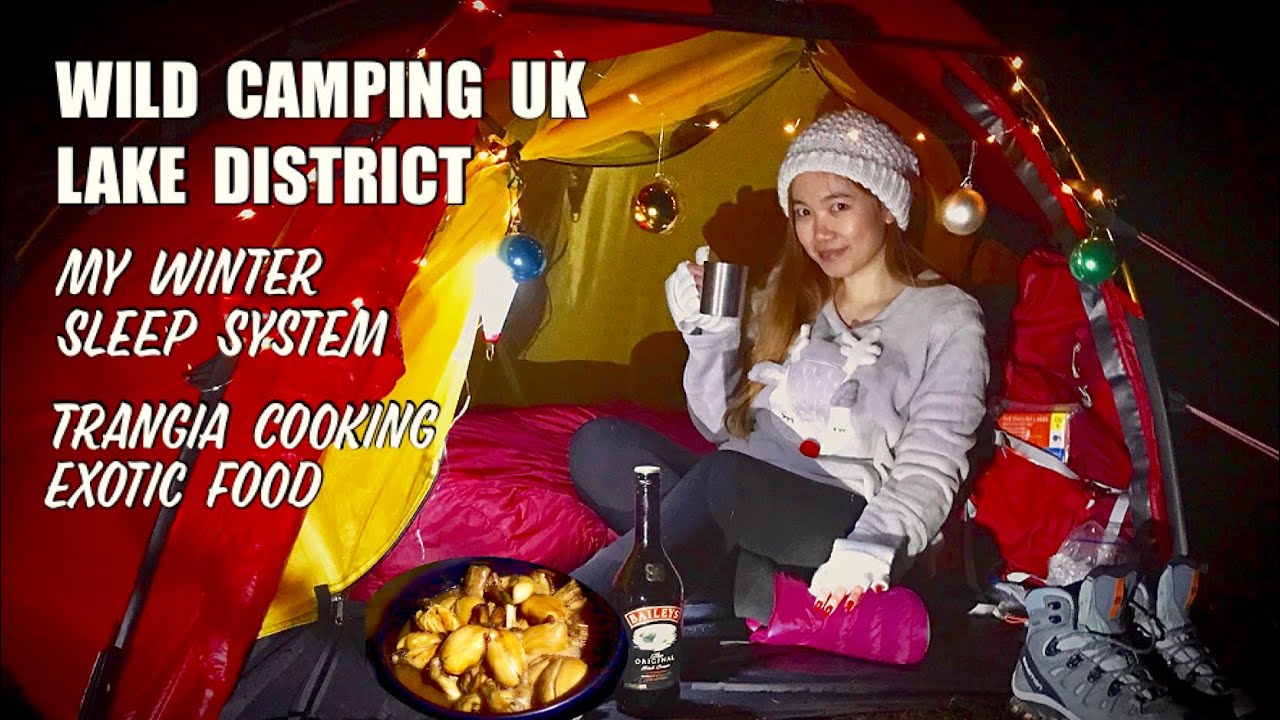 Winter Wild Camping UK - LAKE DISTRICT | Cooking Frog Adobo on Trangia 27