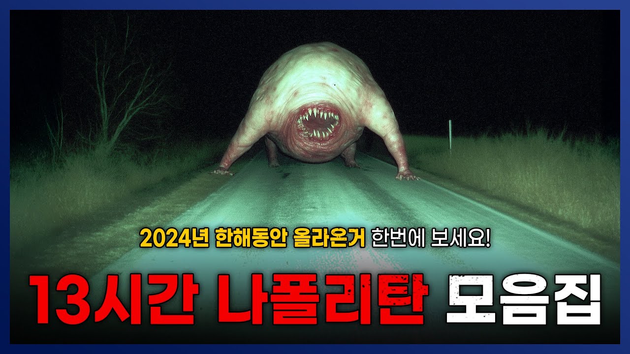 2024년 한해 올리온 모든 나폴리탄 모음집 || 세모미 공포 라디오 괴담