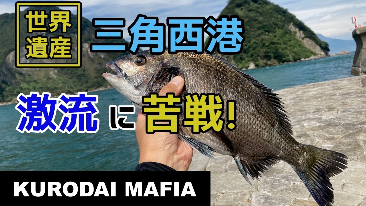 【世界遺産】三角西港の激流でチヌ釣り。真鯛も狙ったけど釣れたのは○鯛。
