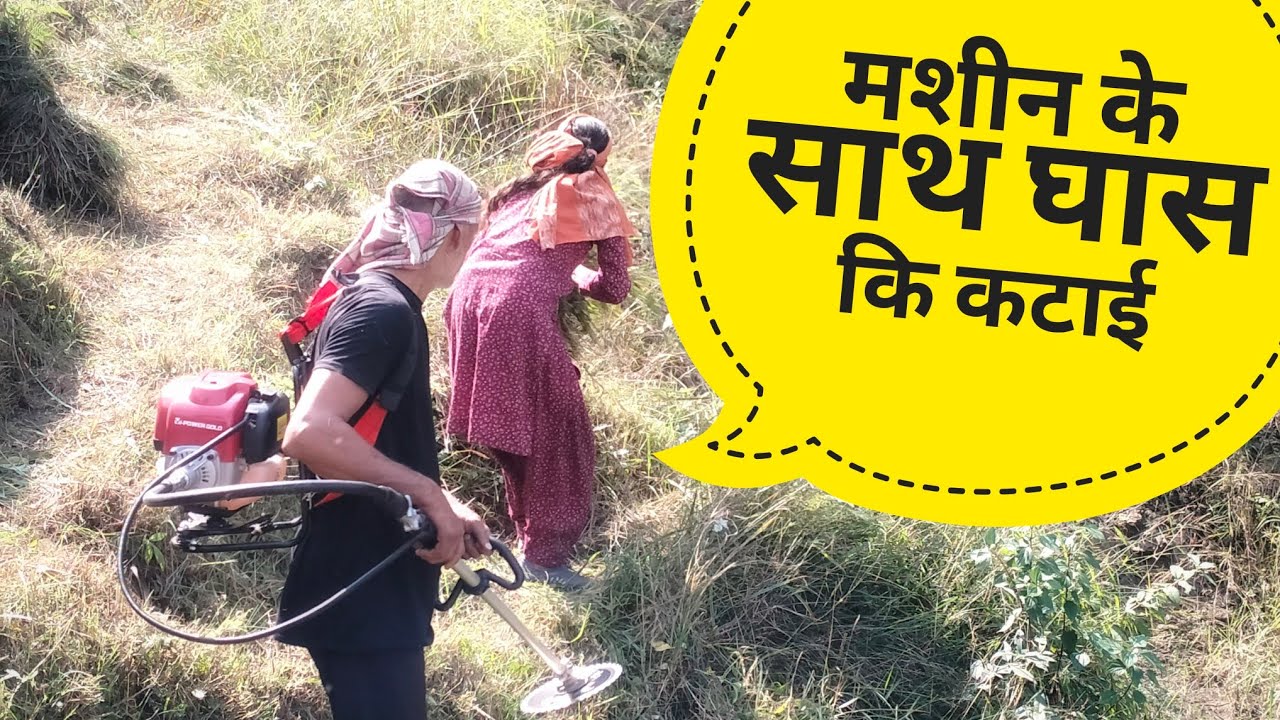 पहाड़ों में आजकल चला है घास काटने का काम||PahadiLifestyle||Explore Himalaya 2393