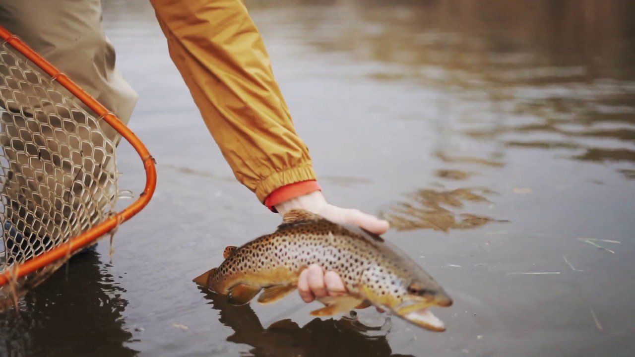 Fly Fishing in the rain. Best Day Ever!
