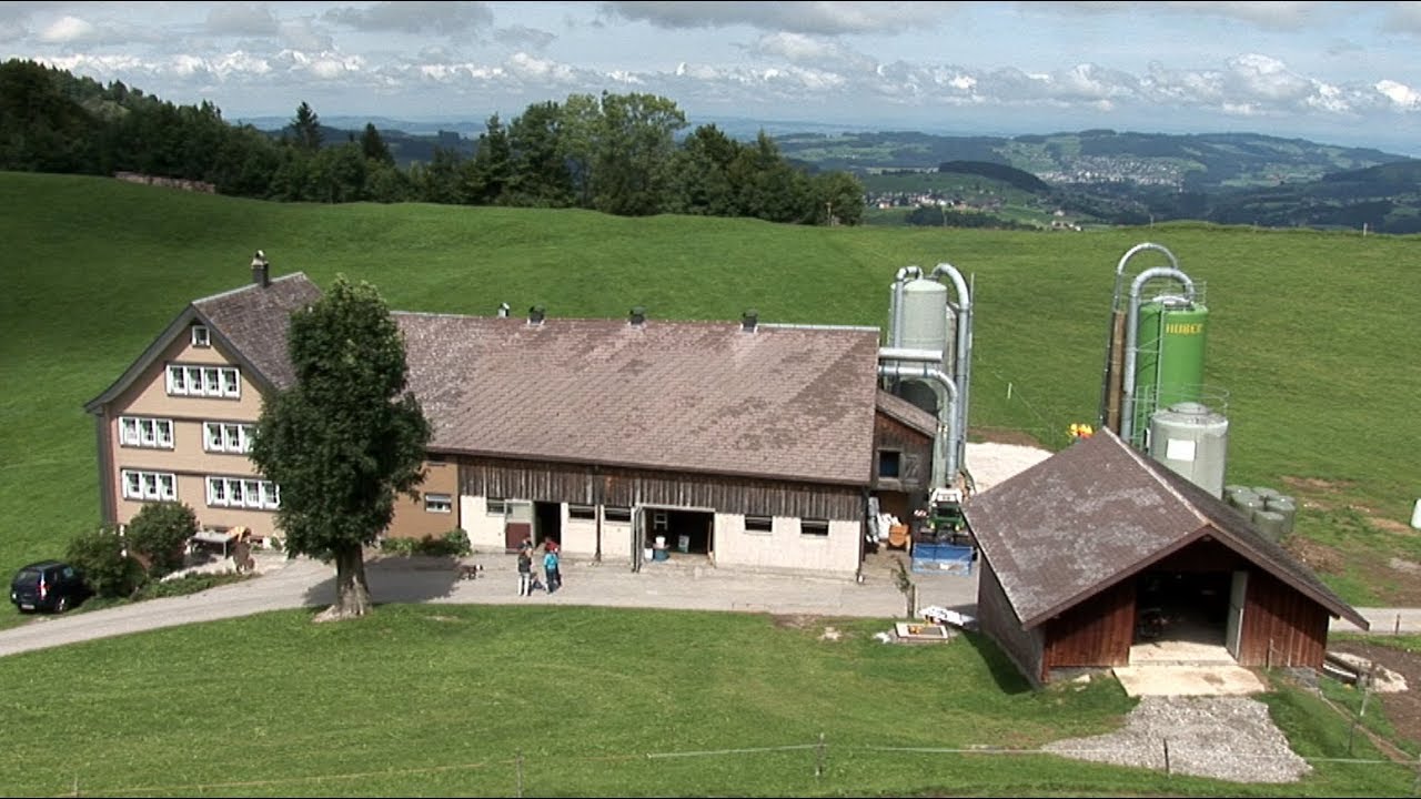 Schlauchbelüftung für Milchvieh in Anbindehaltung, Appenzell