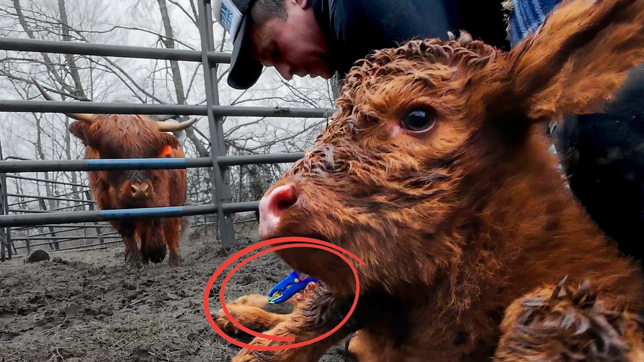 The Not-Fun-Part of Farming